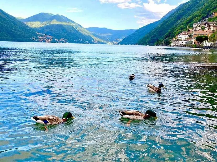 Appartamento Una finestra sul lago Argegno